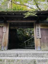 【京都府】2023年行って良かった　リフレクションが美しい瑠璃光院
