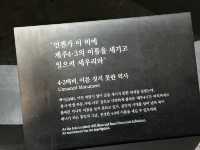 겨울-봄의 제주도는 아름다웠다…😌