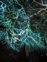 Extraordinary culinary journey at The Cave