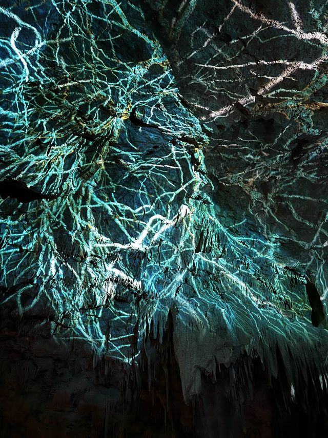 Extraordinary culinary journey at The Cave