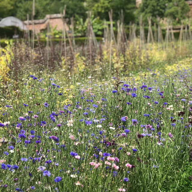 English Walled Gardens