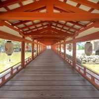 MIYAJIMA ISLAND