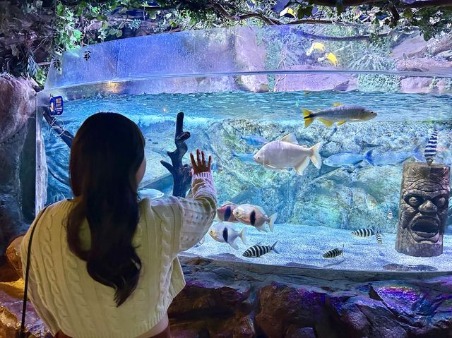 부산에 하나뿐인 아쿠아리움🐳