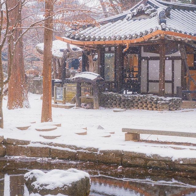 Winter dreams come alive at Nami Island