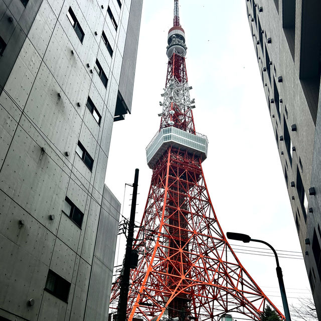 The stunning Tokyo tower 🗼 