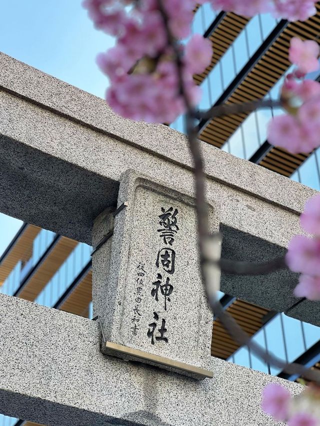 【福岡の桜スイーツ6選】どれもとても可愛くておいしいものばかりでオススメ！