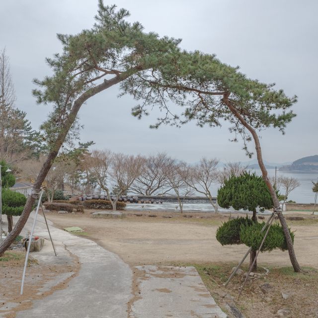 여수 겨울 바다와 동백 지장대사