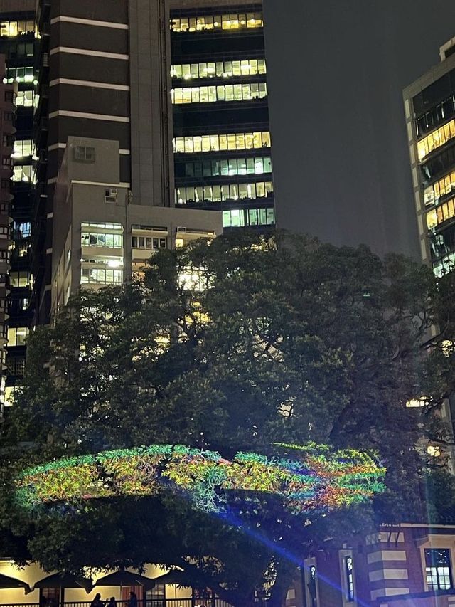 🌟新年打卡必去📸 大館立體光雕投影show 
