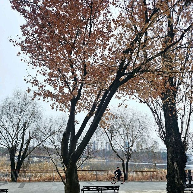 경기도에서 가장 큰 호수공원 <광교호수공원>❤️
