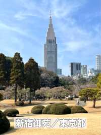 【新宿御苑/東京都】庭園と花が楽しめる場所