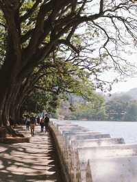 A wonderful time in Kandy, Sri Lanka😍🥰
