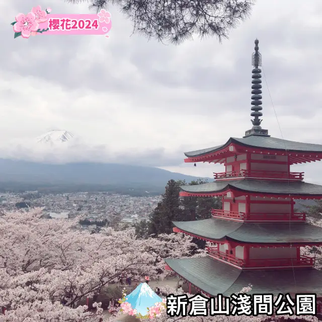 【新倉山淺間公園】不能錯過櫻花與富士山同框的畫面🌸🗻