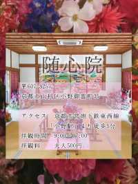 【京都】春の期間限定！「花の間」が今年も開催！より鮮やかで華やかな空間のお寺