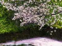 Chidorgafuchi Moat