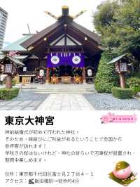 【東京大神宮/東京都】春になると河津桜を設置