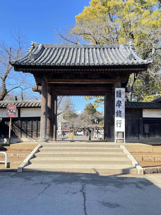 【喜多院/埼玉県】徳川家ゆかりの寺院で少し早い桜詣