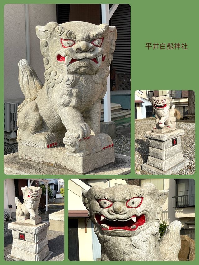 【平井白髭神社/東京都】広々とした境内と個性的な狛犬