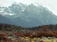 Laguna Torre 가는 길...엘찰텐 트래킹
