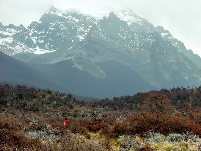 Laguna Torre 가는 길...엘찰텐 트래킹