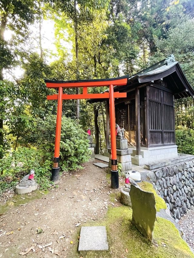 【住吉神社/東京都】レトロと猫の町で知られる神社