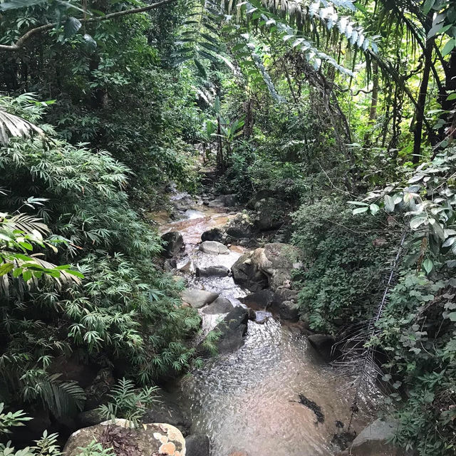 Tranquility at Penang Botanic Gardens 