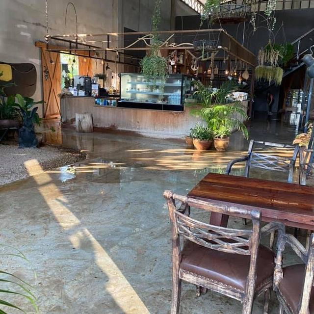 โรชาคาเฟ่🧁คาเฟ่บนเนินเขา