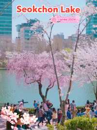 เดินเล่นชมซากุระสวยๆ ที่ Seokchon Lake 