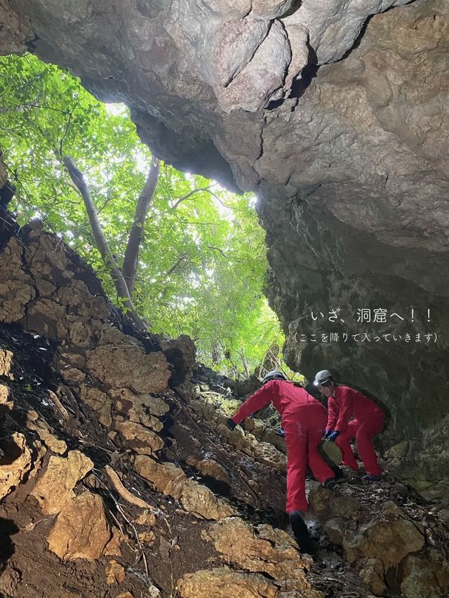 【沖永良部島】洞窟の聖地で絶景ケイビング(洞窟探検)