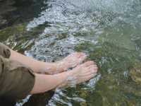 อุทยานแห่งชาติแจ้ซ้อน - Chae Son National Park