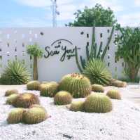 ร้านคาเฟ่ 2D ณ Sea You Again Kohlarn
