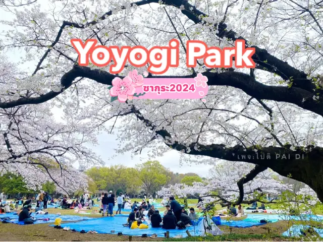 สวนโยโยกิ Yoyogi Park 🌸