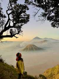 Bromo’s Dawn: Chasing the Sun Amidst Ash