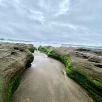 北海岸·超有意境的老梅綠石槽！