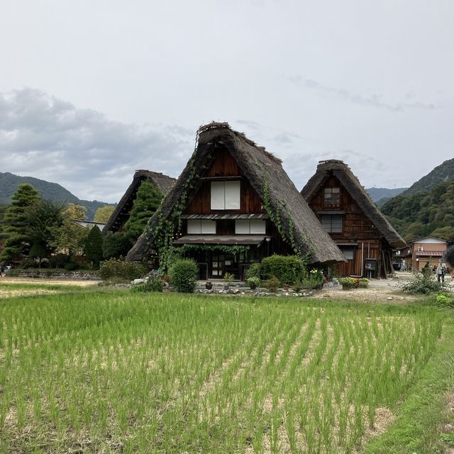 【岐阜│白川郷】まるで別世界のような美しさ