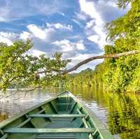 😍 Embark on an Unforgettable Journey: 3 Enchanting Days in the Heart of the Amazon Jungle! 🌳