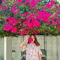 Maysa.Bkk - เสนานิเวศน์