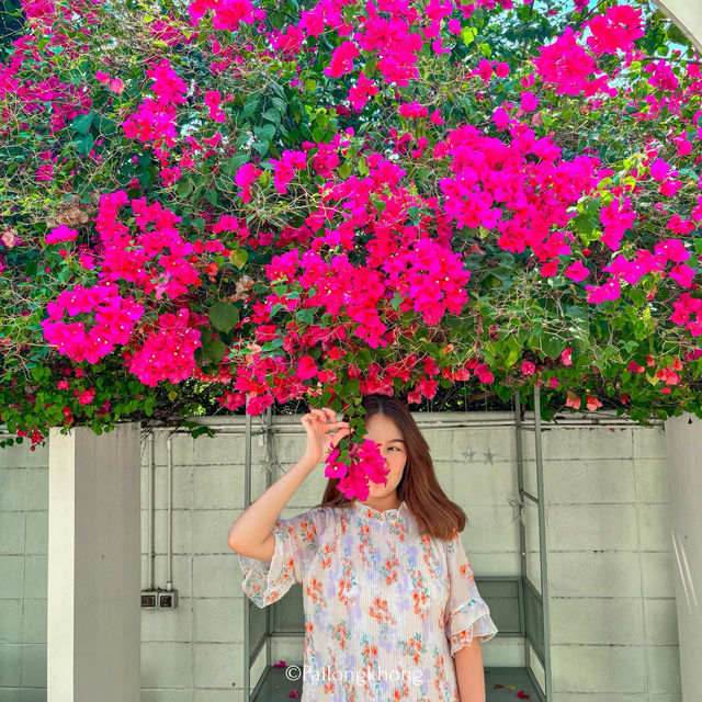 Maysa.Bkk - เสนานิเวศน์