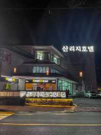 韓国🇰🇷地方への旅🚌全羅北道・南原市🌸見応えある🌸桜並木