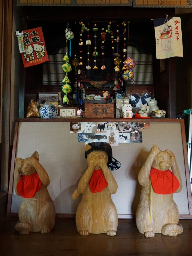 【山口】猫好きさん必見！猫だらけのお寺♡
