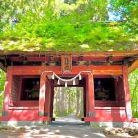 【長野県/戸隠神社奥社】天の岩戸神話に登場する神様を祀る神社