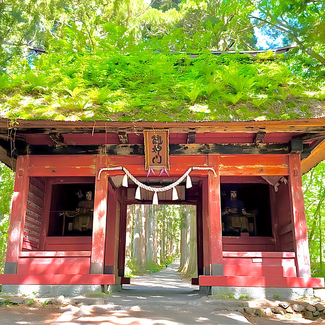 【長野県/戸隠神社奥社】天の岩戸神話に登場する神様を祀る神社