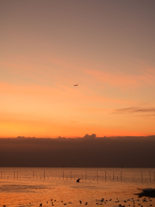 สถานตากอากาศบางปู 🐦🌤️