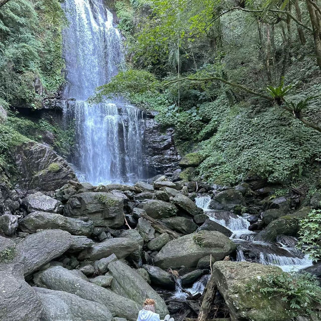 丹濃谷自然保護區：原始美麗，感受大自然奇妙之處