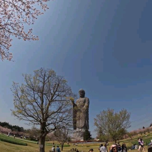 Ushiku Daibutsu