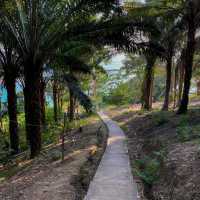 ชายหาดภูเก็ต