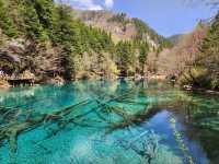 Jiuzhaigou จิ่วจ้ายโกวในเดือนเมษายน