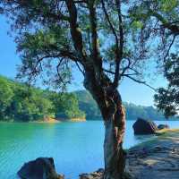 流水響水塘~綠意盎然