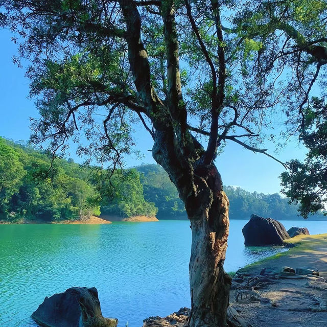 流水響水塘~綠意盎然 流水響水塘~綠意盎然