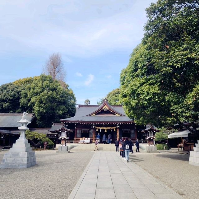 水前寺 欣賞美景的好地方