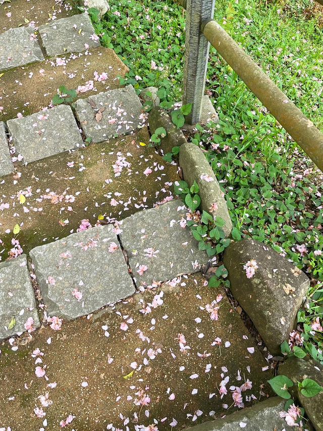 【山口観光】無料で楽しめるお出かけスポット🌼